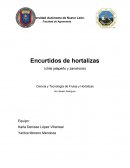 Ciencia y Tecnología de Frutas y Hortalizas