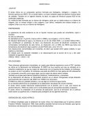 Esquema de trabajo sobre carbono