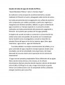 Articulo cientifico resumen “David Mendieta Piñeros Y Jairo A. Romero Rojas”