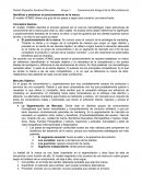 Identificar y establecer el posicionamiento de la marca.