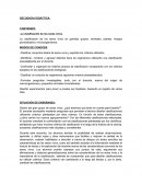 La clasificación de los seres vivos en grandes grupos: animales, plantas, hongos pluricelulares y microorganismos.