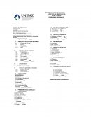 PROGRAMA DE TRABAJO SOCIAL EJERCICIO DE OBSERVACIÓN