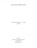 Ensayo “La empresa, La contabilidad y su historia”