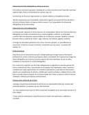 Como se da la Elaboración de fichas bibliográficas y fichas de lectura