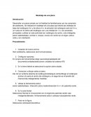 Modelaje de una placa