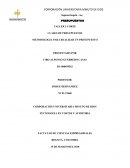 CLASES DE PRESUPUESTOS - METODOLOGIA PARA LA ELABORACION DE UN PRESUPUESTO