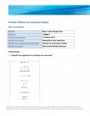 Formato: Sistema de ecuaciones lineales