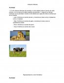 Imitación Diferida Actividad