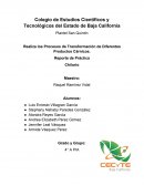 Realiza los Procesos de Transformación de Diferentes Productos Cárnicos