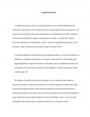 Agronegocios y el agromarketing