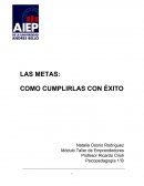 LAS METAS: COMO CUMPLIRLAS CON ÉXITO