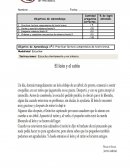 Prueba de Educación Matemática 1er Año Básico