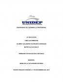 Educacion SEMINARIO DE EDUCACION A DISTANCIA