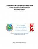 EFECTIVIDAD ORGANIZACIONAL (Ensayo Individual)