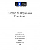 Historia del movimiento de Izquierda Revolucionaria Terapia de Regulación Emocional.