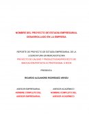 PROYECTO DE CALIDAD Y PRODUCTIVIDAD/PROYECTO DE INNOVACIÓN/PORTAFOLIO PROFESIONAL O BOOK