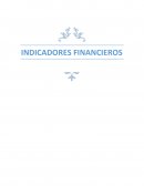 TRABAJO DE INDICADORES FINANCIEROS