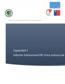 MODULO DE INTEGRACION DE INTERVENCION Y EVALUACION SOCIAL