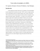 Tesis sobre el atentado a la AMIA