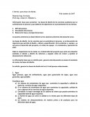 Criterios para bases de diseño