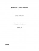 Planificación y Control de Gestión Trabajo Práctico N°1
