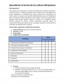 Aprendemos la técnica de los cultivos hidropónicos ¿Qué lograremos?