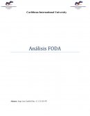 Analisis foda turismo