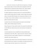 Ensayo sobre la ingenieria civil