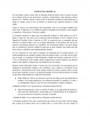 Literatura Medieval LITERATURA MEDIEVAL