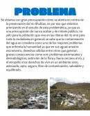 La contaminacion del rio shullcas