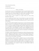 Análisis “Caso de plagio”