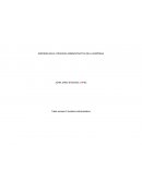 Errores en el proceso administrativo de la empresa