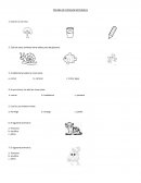 PRUEBA DE CIENCIAS NATURALES Cúal es un ser vivo