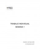 Desarrollo Trabajo Individual Semana 1 De acuerdo a la lectura del caso “El Cartelito”