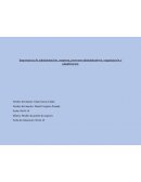 Importancia de administración, empresa, procesos administrativos, organización y planificación