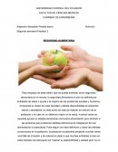 Seguridad alimentaria en el mundo