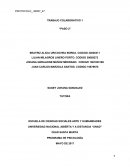 EJEMPLO DE EL PROTOCOLO EMPRESARIAL