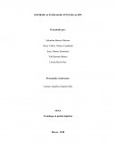 INFORME ACTIVIDAD DE INVESTIGACIÓN