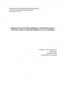 MODELOS DE AUDITORÍA AMBIENTAL, REVISORÍA FISCAL Y CONTROL PARA LA GESTIÓN AMBIENTAL DE LA EMPRESA