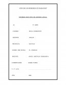 INFORME EJECUTIVO DE GESTION ANUAL