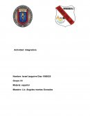 Español Actividad: integradora