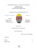 Búsqueda de microsatelites en camarones