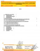 Actuacion por emergencia de derrames de combustible y aceites. Mina subterranea