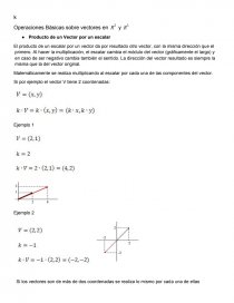 Operaciones basicas de vectores en R2 YR3. Página 1