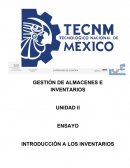 Introducción A Los Inventarios