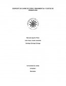 DESPOSTE DE CARNE DE CERDO, RENDIMIENTOS Y COSTOS DE PRODUCCIÓN