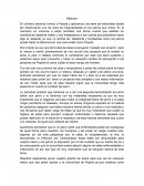 Reflexion sobre los perros callejeros de una comunidad Bitácora