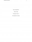 Pensamiento Postformal