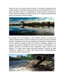 Había una vez, en una tarde cálida de verano