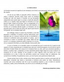 Historias que despiertan el alma. La naturaleza